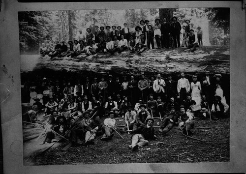 Portrait of group on Sequoia log ?