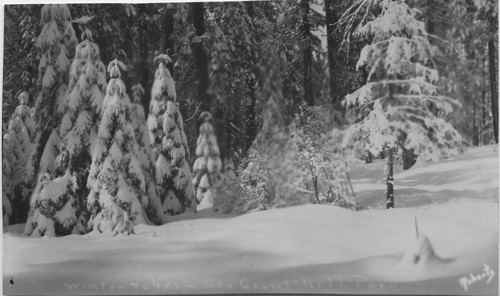 Snow ladies with their long winter coats - Gen Grant Nat'l Park