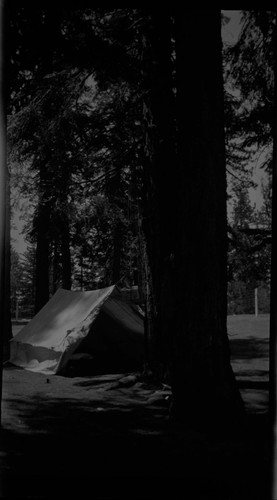 Tent, campsite