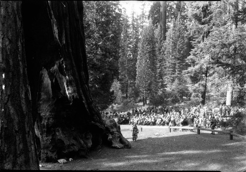 Gen Grant Tree Crowd watching performance ?