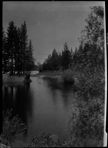 Sequoia Lake