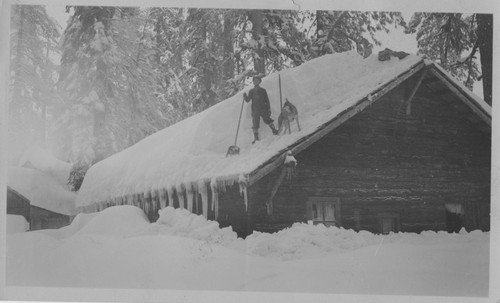 Man and dog shovelling roof