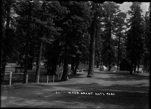 Camp in Gen. Grant Nat'l Park