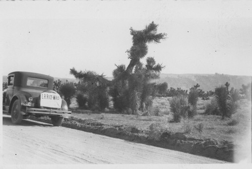 1926 Edmund on the desert Nash Coupe