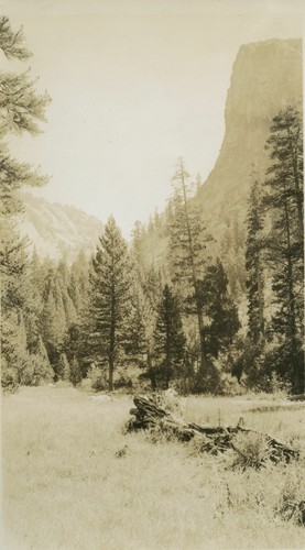 Looking up Canyon on left near Lodgepole campgrounds Seq Park