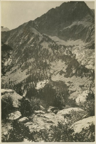 Unknown mountains, trees, Kings Canyon ?