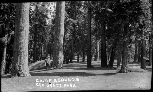 "Campgrounds Gen. Grant Park"