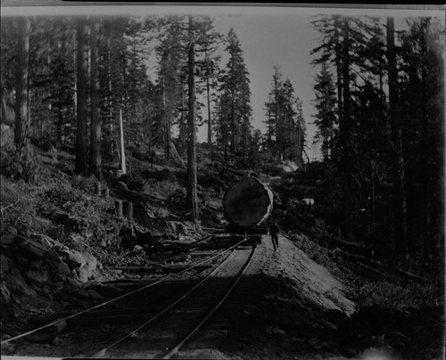 Log being pulled on railroad