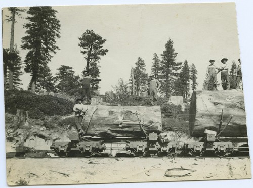 Logs in to mill on railroad 1905-04