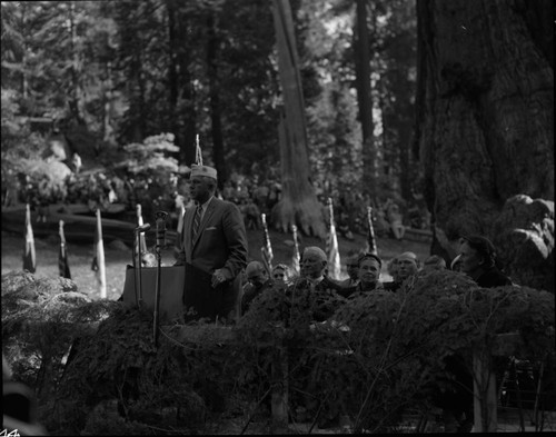 Dedications and Ceremonies, Grant Tree dedication with Admiral Chester A. Nimitz (seated, center photo)