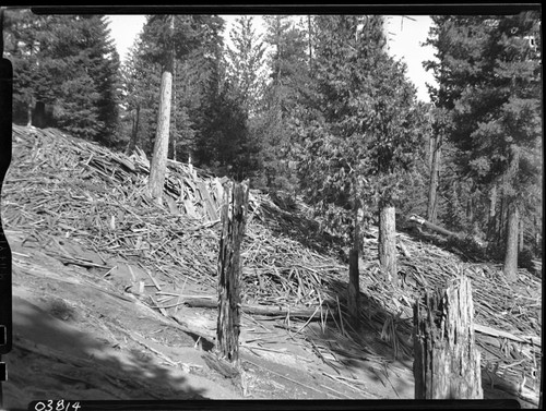 Logging, Atwell Mill slash pile