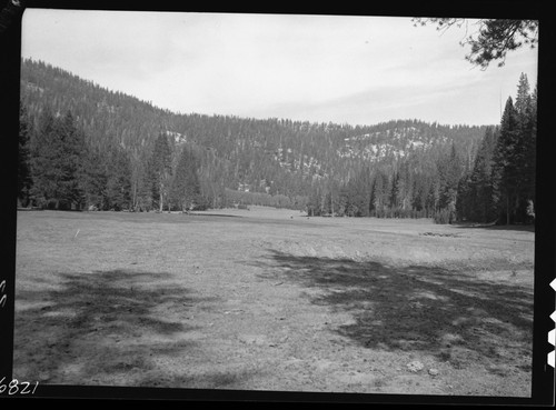 Meadow studies, looking north up center of meadow. Note where dry foreground merges into damp meadow on flat floor