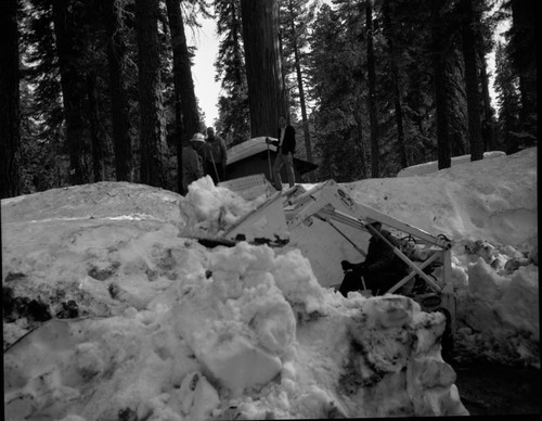 Record Heavy Snow, Concessioner rental clearing snow at Giant Forest Lodge area