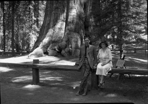 Historic Individuals, Sherman Tree, Secretary Wilbur and wife at Sherman Tree