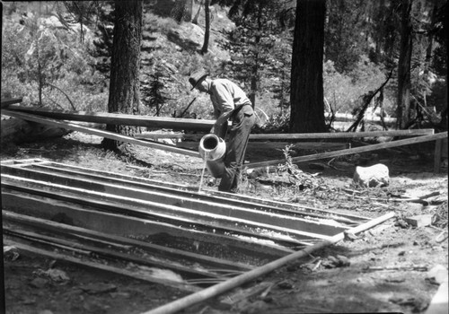 Misc. Resource Management Concerns, fish, fish troughs, Slim Ellis pictured, NPS Individuals