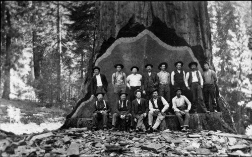 Logging, Group portrait at Millwood logging site. Early 1900's. Misc. Groups