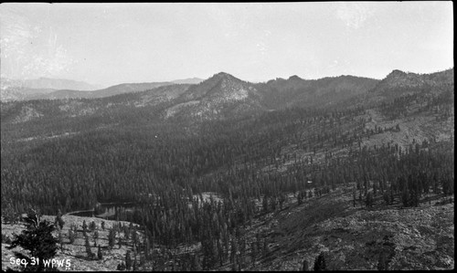 Misc. Canyons, Canyon from sheep meadow, view southeast toward Maggie Mountain, lodgepole pine forest plant community, twin lakes lower right, center panel of a three panel panorama