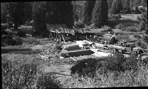 Logging, Atwell Mill