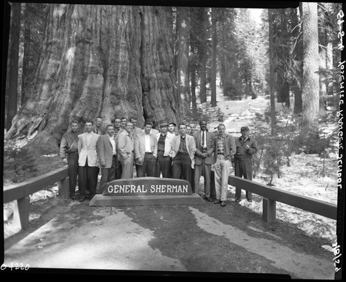 NPS Groups, Yosemite Ranger School on tour in Sequoia. At the General Sherman Tree