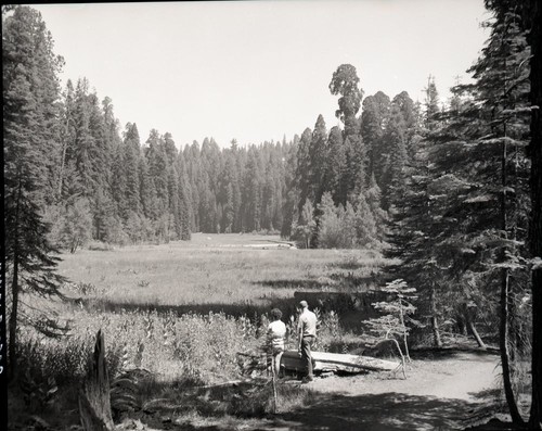 Crescent Meadow, Mr. & Mrs. Asa Brooks pictured