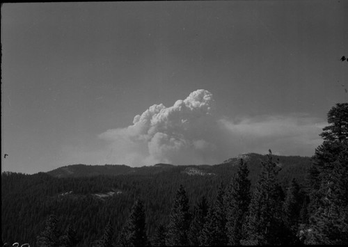 Wildland Fires, McGee fire from Beetle Rock