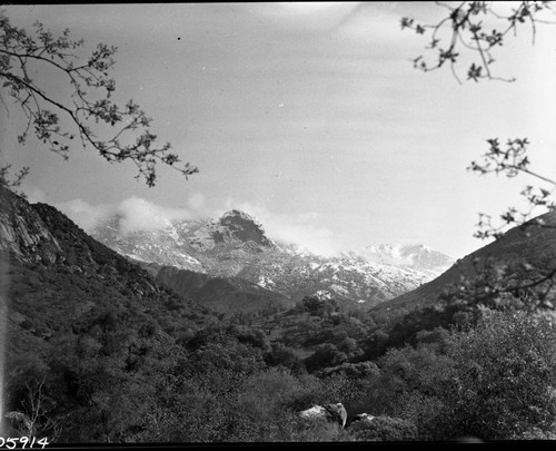 Moro Rock, from near Potwisha. Foothills near Ash Mountain