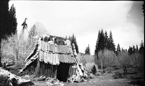 Comstock Mill Area, Sequoia Nat'l Forest, Giant Sequoia Stumps, Cabin Stump