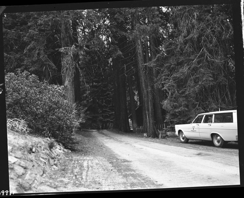 Roads, Mineral King Road east of Atwell