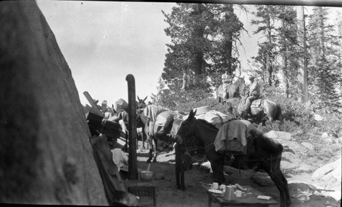 Construction, pack materials to Paradise Peak Lookout site. Stock use