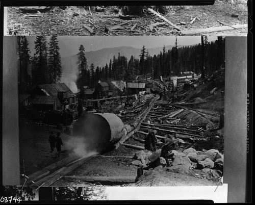 Converse Basin, Logging, Log on skid, Converse Basin Mill