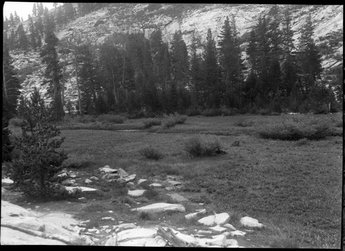 Meadow studies, small meadow at upper end of Crowley