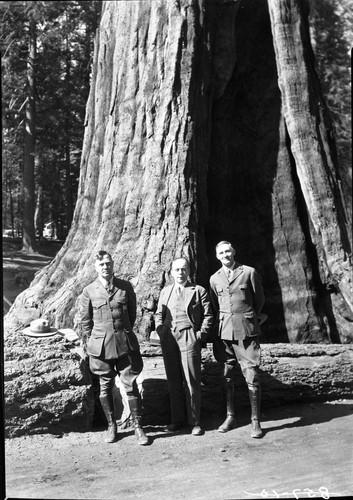 Foreign Visitors, Ford Spiglemyre, Dr. Jack from Germany, Col. White at Sentinel Tree