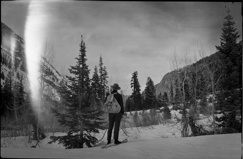 Snow Survey, up Bubbs Creek to Junction Meadow, Oberhansley and Murdock. Nelson Murdock pictured