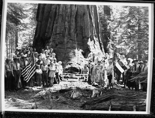 Dedications and Ceremonies, dedication of General Lee Tree, conducted by United Daughters of the Confederacy