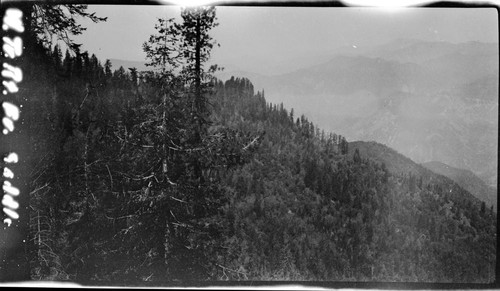 Trail routes, upper portion of hillside in section 4 steep meadowland in lower right of picture is site of first two switchbacks on drop into Paradise Creek. Middle Fork Kaweah River Canyon, Mixed Coniferous Forest