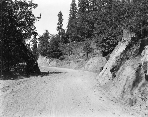 Construction, area between Giant Forest and Hospital Rock