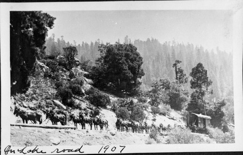 Logging, Hauling scenes at Millwood, early 1900's