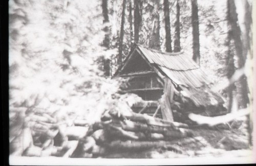 Backcountry Cabins and Structures, Lewis Cabin at Lewis Camp