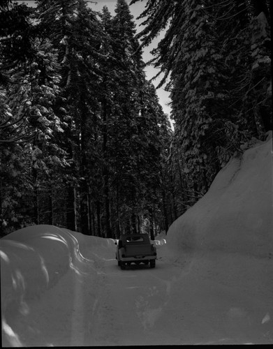 Record Heavy Snow, Record snows Giant Forest area — Calisphere