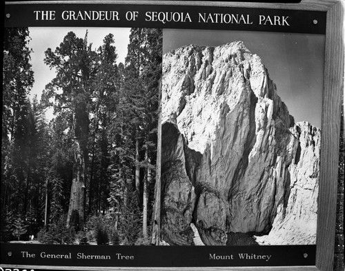 Exhibits, Display in visitor center lobby