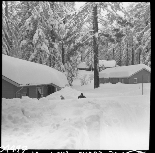 Winter Scenes, Grant Village in heavy snow. Record Heavy Snow. Buildings and Utilities