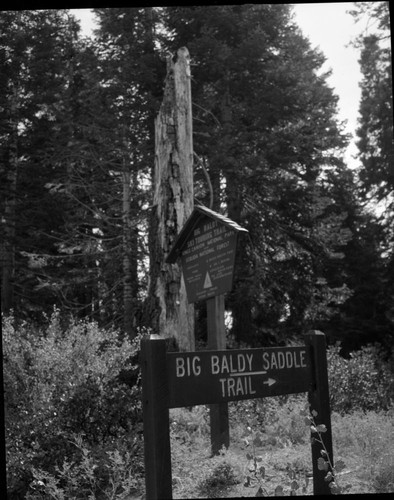 Signs, Big Baldy Trail