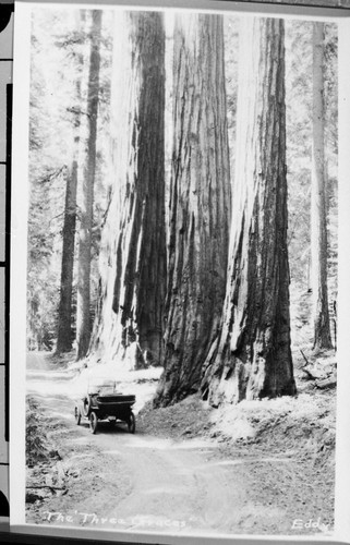 Misc. Named Giant Sequoias, Vehicular Use, Roads, old car by the "Three Graces"