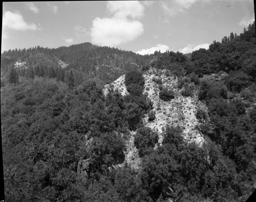 Crystal Cave, Cave is located at base of marble formation in lower left corner of photo. Foothill Woodland Plant Community - canyonside