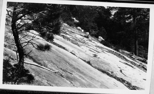 High Sierra Trail investigation, showing slick rock on west slope Buck Canyon