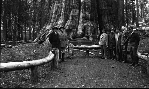CCC Inspector Stockman, District Commander Major McGuire, Mr. McEntee, Unknown Unknown, Col. White, Forestry Inspector Maurice Thede at the Sherman Tree