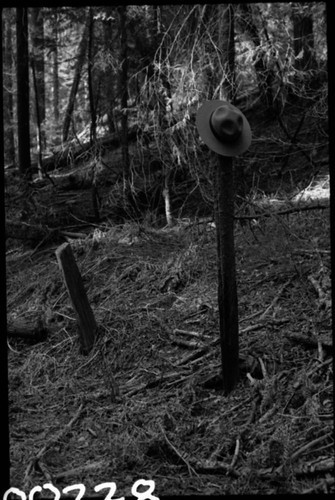 Ranger Stations, Ruin of Slapjack Ranger Station