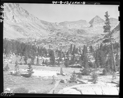 Meadow studies, Upper Bubbs Creek, permanent meadow photo plot study. Lodgepole Pine, Subalpine Forest Plant community