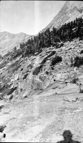 High Sierra Trail Investigation NW from trail above Tamarack Lake, Glacial steps, Subalpine Forest Plant community