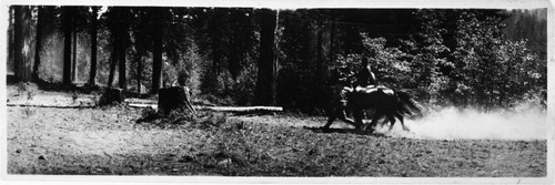 MIlitary, Administration LT. Edmond L. Zane, Troop F, 14th U.S. Cavalry vaulting over spare horse at drill. Drill grounds were on high piece of ground 1/2 mile below Marble Fork Bridge